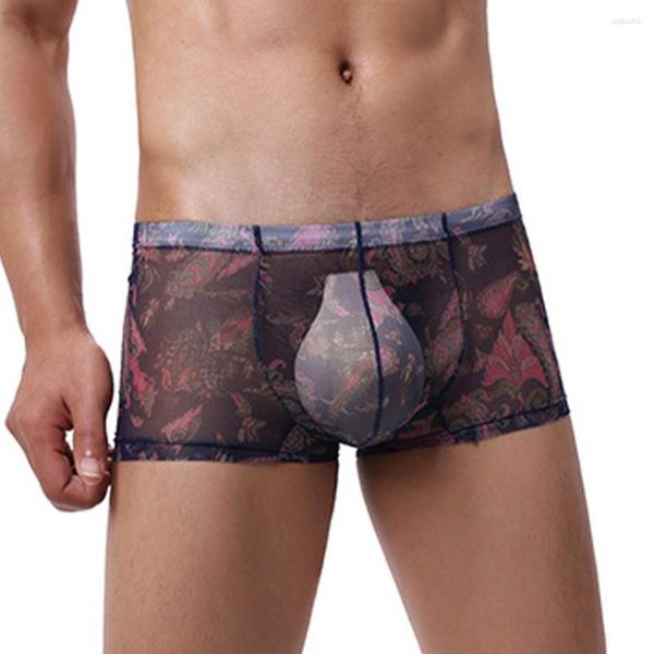 Sous-vêtements transparents pour hommes, Boxer, sous-vêtements sexy, taille basse, maille U convexe, pochette Scrotum, culotte transparente, Lingerie