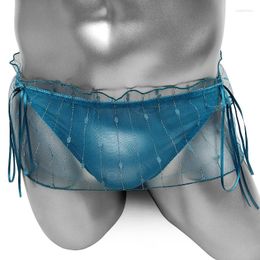 Onderbroek See Through Mesh Sissy Panties Skirted Frilly Heren Slips Ondergoed Bikini Gay Sexy Lingerie Crossdressers