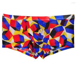 Onderbroeken Doorzichtige sexy bikini herenondergoed Boxershorts Micro Mesh transparante onderbroeken Mannelijke herenboxers