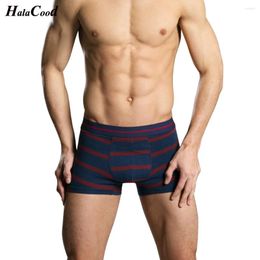 Les cais-caiss vendent des boxeurs de coton de haute qualité Shorts Mr Brand Fashion Sexy Male Men de sous-vêtements Men de grande taille