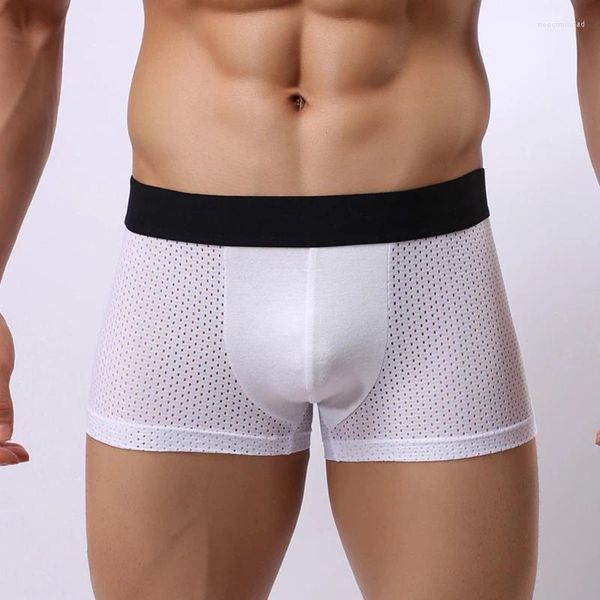 Sous-vêtements Vendre Modal Boxer Shorts Slip Respirant Hommes Sous-vêtements Mâle Vêtements Mode Classique Sheer