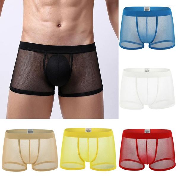 Calzoncillos Venta de ropa interior para hombres Ver a través de malla Boxer Shorts para Bugle Bolsa Bragas eróticas Moda Sexy Transparente