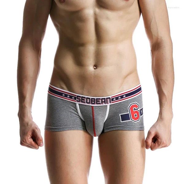 Sous-pants SEOBEAN Men's Boxers Underwear Ubag Boxer Coton solide Sexy Low-Waist Fashion