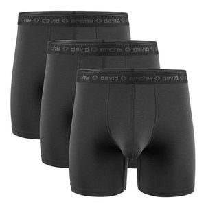 Calzoncillos Separados Ropa interior para hombres Paquete de 3 Rayón modal básico Suave transpirable Calzoncillos tipo bóxer con doble bolsa Pantalones deportivos Fitness Secado rápido EE. UU. S