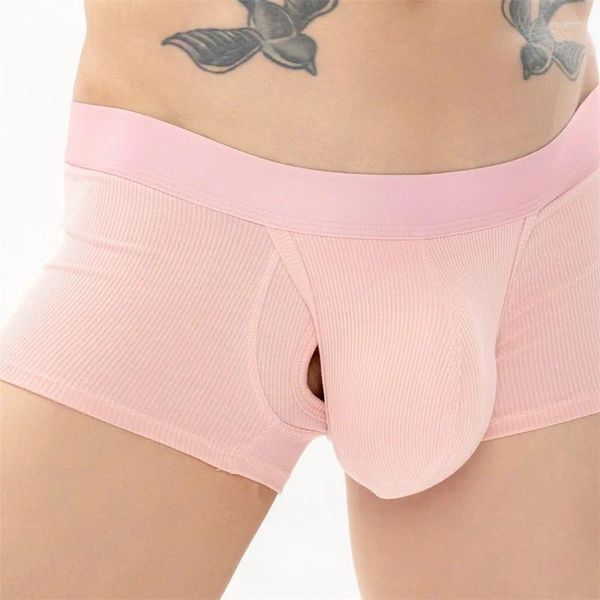 Sous-pants Sexy Boxer Shops Underwear Men Modal Boxers Pagule Bulge Penis Pouche Man Trunks Hombre Boxershorts Bikini