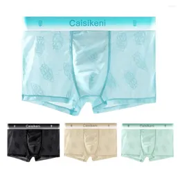 Sous-pants sexy Full Transparent Men's Ice Silk Underwear Ultra-Thin Thin Breathable Boxer Trunk de grande taille Shorts transparents