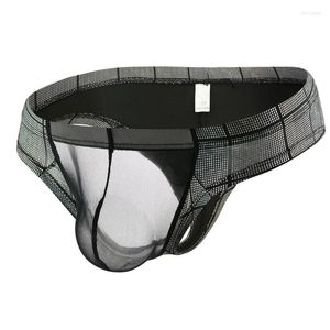 Calzoncillos Sexy Gay ropa interior calzoncillos para hombres Bikini Slip Homme cuero sintético transparente malla pene bolsa bragas masculinas Cueca S-XXL