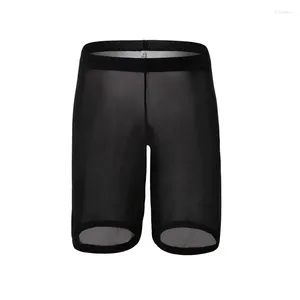 Sous-pants sexy sous-vêtements gays hommes boxers shorts ultra-minces transparents en maillage solide respirant u convexe sage longue jambe cueca s-xl