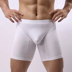 Sous-vêtements Sexy Gay Sous-vêtements Hommes Coton Boxer Shorts Homme Moyen Longue Jambe Culotte Homme U Poche Convexe Cueca Calzoncillos M-XXL