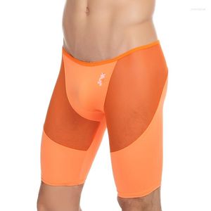 Onderbroek sexy gay ondergoed gaas ademende boksers mannen transparant hoog stretch nylon vaste kleur u convex pure sheer