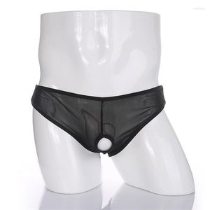 Slip Sexy Lingerie Gay hommes sous-vêtements en maille slips avant ouvert pénis poche trou évider Transparent mâle Sissy culotte