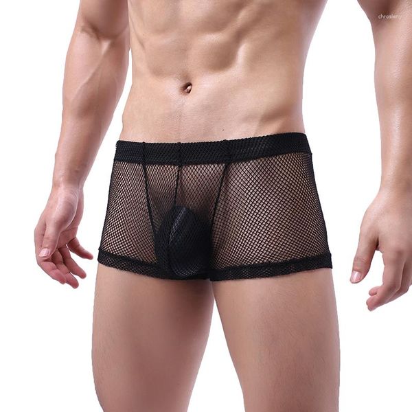 Caleçon Sexy Lingerie maille Boxer Shorts hommes sous-vêtements résille Transparent Sissy Gay culotte Cueca Boxershorts 2XL