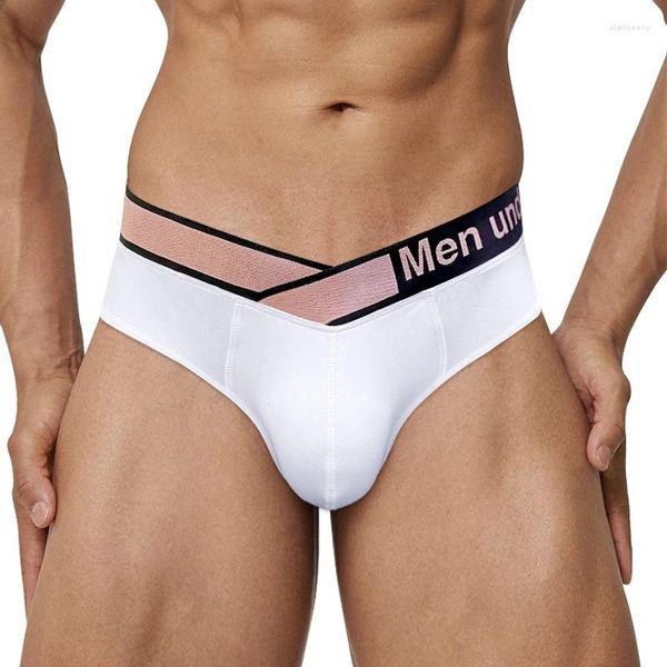 Sous-vêtements Sexy mâle sous-vêtement modal hommes slips U convexe Gay hommes culottes respirant doux taille basse hommes bref Cueca Ropa intérieur Hombre