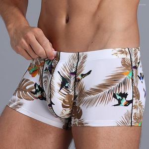 Caleçon Sexy hommes léopard imprimé sous-vêtements homme coton Boxer homme culotte respirant Shorts U poche convexe Cueca Hombre