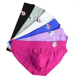 Caleçon Sexy sous-vêtements pour hommes Calzoncillos Hombre Slip homme culotte Ropa intérieur homme U convexe