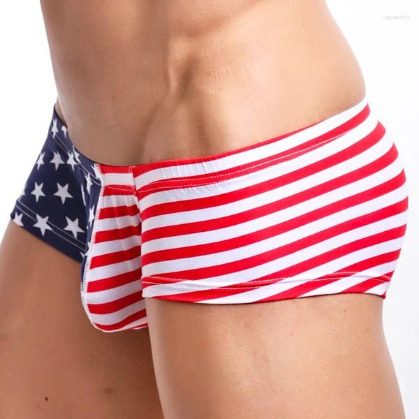 Calzoncillos Sexy Men Boxer Shorts USA Bandera Impreso Troncos para hombre Boxers de cintura baja Algodón Ropa interior transpirable