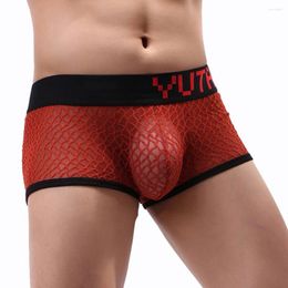 Sous-pants Men sexy boxers ultra-minces transparents sous-vêtements transparents shorts doux à basse hausse