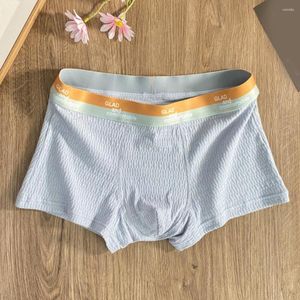 Sous-vêtements Sexy hommes coton sans couture Boxer slips poche sous-vêtements Shorts troncs doux Jockstrap respirant culotte sport Fitness