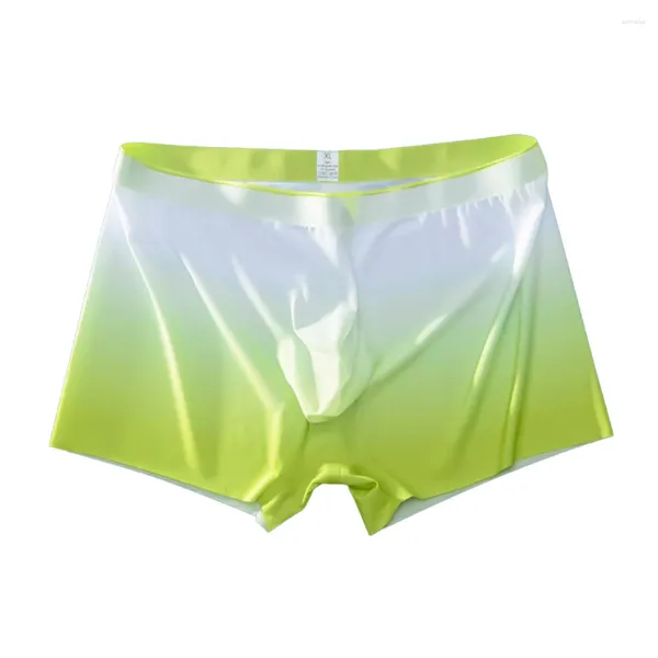 Sous-pants Men sexy glacée Silk Sheer Boxer Brief