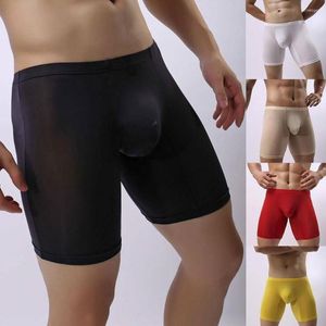 Caleçon Sexy hommes glace sous-vêtements en soie longue jambe culotte transparente solide respirant Boxer hommes boxeurs Shorts L6H4