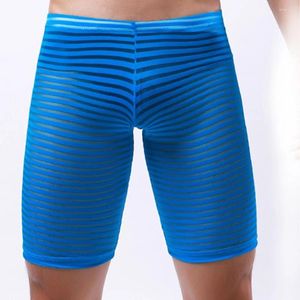 Onderbroek Sexy Men Long Boxer Shorts Stripe Mesh zie door doorzichtige halve broek Lounge Underwear Lingerie Boxershorts slaapbodems