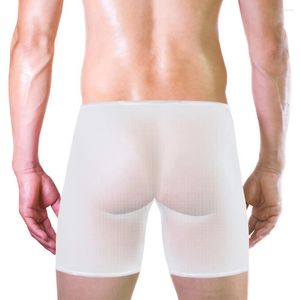 Sous-vêtements Sexy hommes maille translucide Boxer Shorts U poche convexe Lingerie slips Ultra mince Bikini sous-vêtements doux culotte respirante