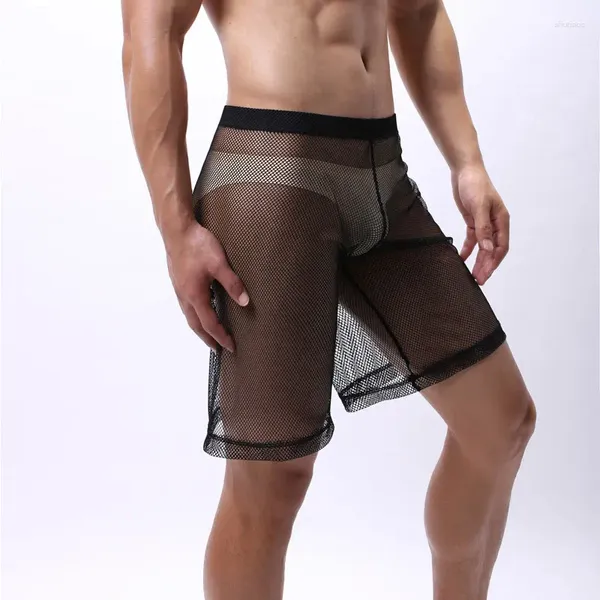 Calzoncillos Men sexy malla transparente transpirable boxeador pantalones cortos de medios cortos homme ver a través de la noche ropa interior lencería gay sólida