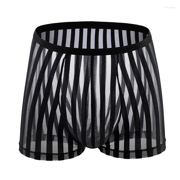 Sous-vêtements Sexy Hommes Culottes Transparent Mesh Sous-Vêtements Rayé Ultra-mince Boxer Shorts Pour Boxershorts Érotiques