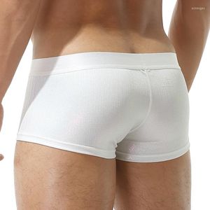 Caleçon Sexy hommes sous-vêtements avant ouvert hommes Boxer culotte respirant entrejambe trou renflement poche mâle
