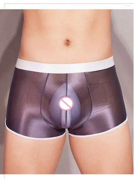 Sous-vêtements Sexy pour hommes, culotte respirante, Boxer U, poche bombée, sous-vêtements élastiques, Lingerie transparente