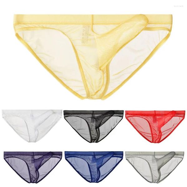 Calzoncillos Sexy para hombre? Calzoncillos transparentes con nariz de elefante, malla de gasa, bolsa abultada, ropa interior, bragas transpirables para hombre, calzoncillos Cueca para Hombre