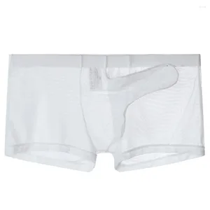 Onderbroek sexy heren ondergoed ultradunne pure maas ademende slipje olifantenstam Volledige transparante boksers shorts