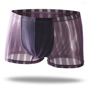 Sous-vêtements sexy hommes transparents boxer slips pochette en maille transparente sous-vêtements rayés lingerie shorts pour hommes minces