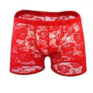 Caleçon Sexy Hommes Transparent Dentelle Boxer Shorts Sous-Vêtements Sissy Pantalon Lingerie