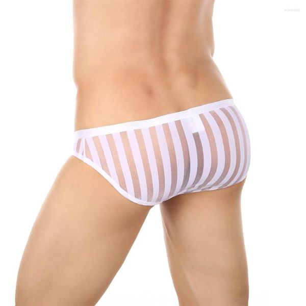 Slip Sexy Men Sheer Striped Briefs See Through Udnerwear Male Transparent Mesh Culotte Taille Basse Bikini Trunks Respirant Udnerpants