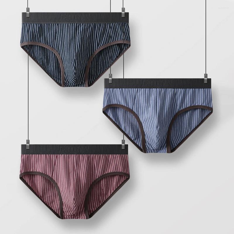 Underpants Sexy Men Striped Panties Convex Pouch Boys Underwear Low Waist Briefs Male Soft Lingerie Men's Swimming Trunks