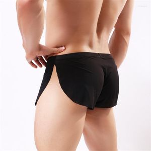 Caleçons Sexy hommes boxeurs transparents sous-vêtements voir à travers les shorts de tronc en maille pour hommes Ultra-minces légers bas de sommeil Boxershorts