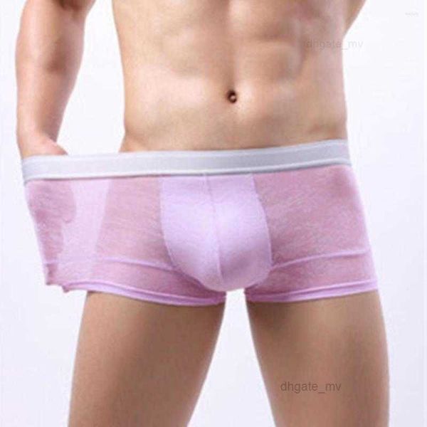 Sous-vêtements sexy pour hommes en maille transparente transparente en forme de U, slip translucide ultra-mince, sous-vêtements gays, lingerie