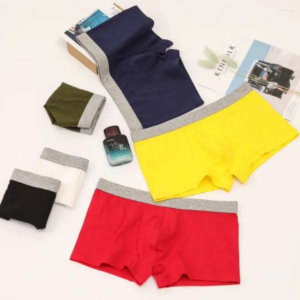 Men de sous-pants Sexy Men U Convex Pouch Boxer Shorts sous-vêtements Pénis Pantes confortable Coton Coin plat culotte