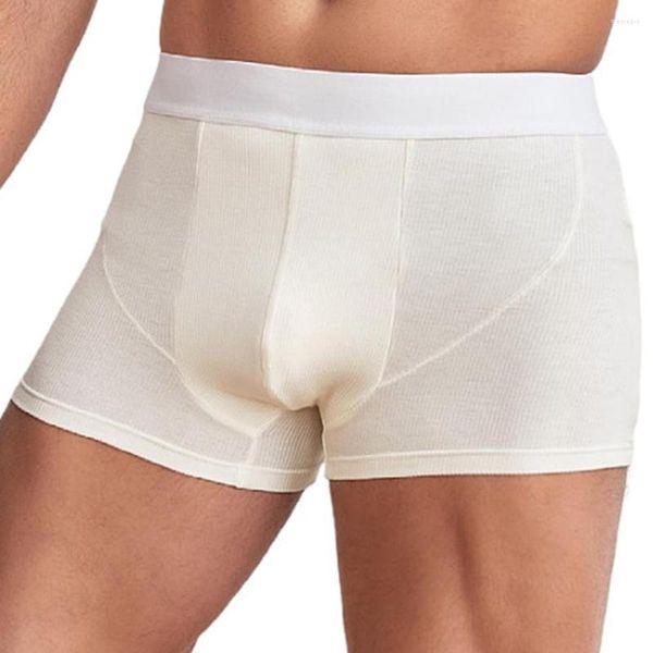 Sous-vêtements sexy hommes sous-vêtements boxer fil doux slips solides élasticité shorts culotte taille moyenne serré lingerie automne bas porter