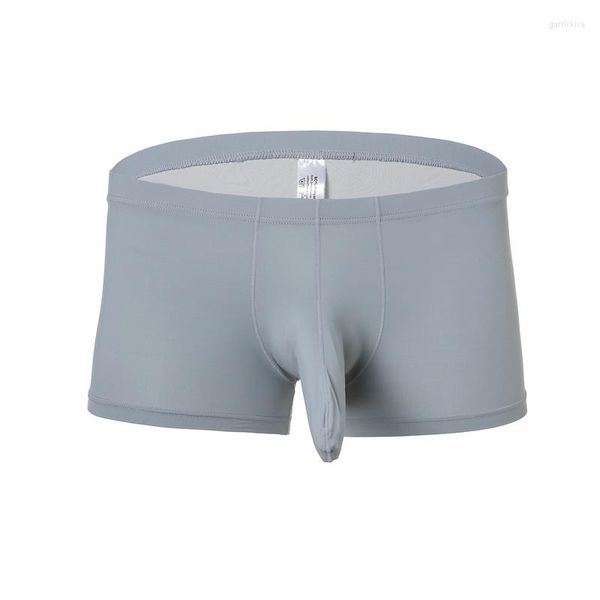 Slip Sexy Hommes Sous-Vêtements Boxers Glace Soie Éléphant Tronc Gay Respirant Boxeur Marque Shorts Cueca Slip Homme