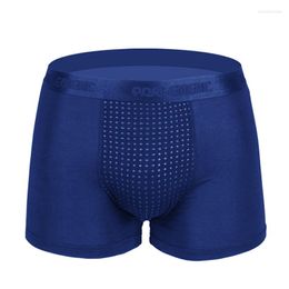 Onderbroek sexy mannen ondergoed boksers shorts Modal slipje man vaste antibacteriële magnetische zak mannelijke kofferbak cueca calzoncillo