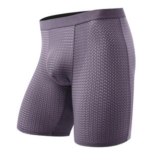 Sous-vêtements Sexy hommes sous-vêtements boxeurs Shorts glace soie maille Panites homme solide respirant poche longue jambe sous-pantalon Cueca Calzoncillo plus taille U