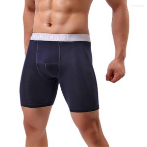 Slip Sexy Hommes Sous-Vêtements Coton Boxers Shorts Push Up Taille Haute U Poche Convexe Longue Jambe Cueca Calzoncillo Grande Taille L-5XL