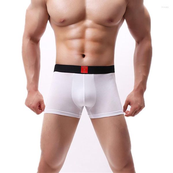 Calzoncillos sexy hombres ropa interior modal boxeadores pantalones cortos bragas íntimas transpirable baja subida u bolsa convexa cueca calzoncillo l-3xl