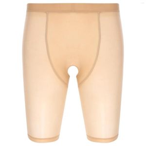 Onderbroek Sexy Heren Volwassen Sheer Crotchless Boxers Ardennen Pouch Shorts Ondergoed Glossy See-Through Dunne Slipje Nachtkleding