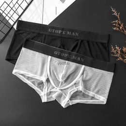 Slips Sexy Mens Briefs Mesh See-through Pouch Boxer Bikini Convex Pouch Sous-vêtements Doux Respirant Haute Qualité Boxershorts Cadeau