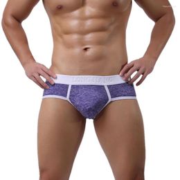 Slip Sexy Mens Briefs Sous-Vêtements Big U Bulge Pouch Culotte Respirant Hommes Mi-taille Confortable Lingerie Triangle