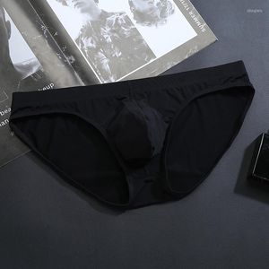 Slip Sexy Hommes Glace Soie Sous-Vêtements Sans Couture Hommes Mémoires Respirant Culotte Bikini Solide Taille Basse Doux Gay