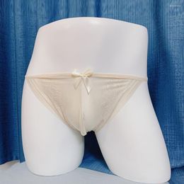 Slip Sexy Mens Mesh See Through Briefs Pouch Low Rise Lingerie Underwear